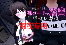 [ACT/新作/官方中文/有动画] 爆乳妹子在裸体大衣里露出/ バレないように裸コートで露出するセレカさん [度盘/秒传][1.7G]-捕鱼中文站