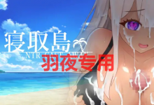 [RPG/新作/机翻] 寝取島 -NTR CAST AWAY- [度盘/秒传][900M]-捕鱼中文站