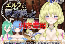 [SLG/新作/触摸/有动画] 精灵与调教仪式/ エルフと調教儀式 [度盘/秒传][2G]-捕鱼中文站