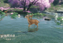 《逆水寒手游》仙居奇缘躲猫猫活动体验调整说明详情-捕鱼中文站