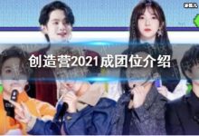 大厂和大岛是什么意思？选秀节目出道位由谁决定？-捕鱼中文站