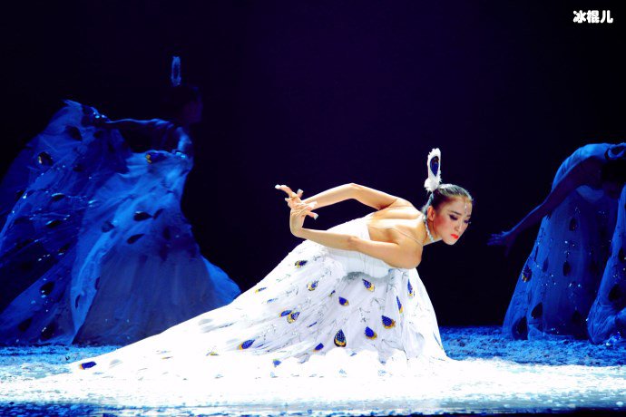 杨丽萍终放弃节食,开启高热量火锅模式自律还是敌不过利益