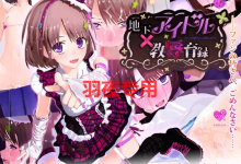 [SLG/汉化/有动画] 地下アイドル 教辱育録～ファンの皆さん、ごめんなさい [2.2G/度盘]-捕鱼中文站