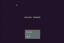 [精品动作RPG/官中/动态]被侵犯的公主Violated Princess V230911 官方中文版[860M]-捕鱼中文站