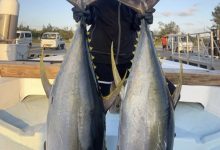 不只会剑玉!涼森れむ(凉森玲梦)还是天才小钓手!-捕鱼中文站