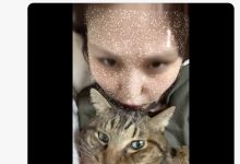 爱猫过世了⋯东北美人的她也不做了！-捕鱼中文站