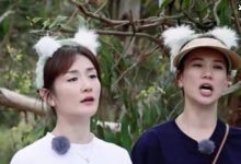袁咏仪买包怕不能进家门,感情甜蜜令人羡慕神仙婚姻状态-捕鱼中文站