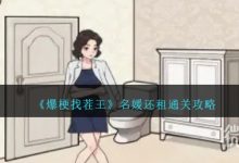 《爆梗找茬王》名媛还租通关攻略分享-捕鱼中文站