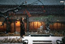黄晓明新剧《鬓边不是海棠红》开播，获得了不错的口碑和关注度-捕鱼中文站