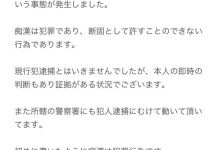 这不是拍片！O罩杯的她在现实生活碰到了痴汉！-捕鱼中文站