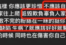 关颖家庭背景资料被扒, 关颖老公是谁有几个孩子-捕鱼中文站