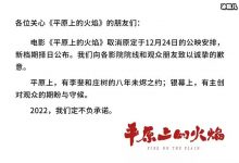 电影《平原上的火焰》为什么撤档了? 撤档背后是有隐情吗-捕鱼中文站