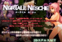 [热门像素ACT/汉化/动态] ナーテイル・ネーシェ V1.02 个人汉化版 [1.3G/百度]-捕鱼中文站