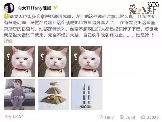 张柏芝谢霆锋王菲是什么关系? 为什么张柏芝老爱撒谎