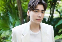 李易峰交通逃逸事件,李易峰逃逸是为了不追究法律责任吗-捕鱼中文站