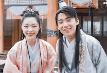 赘婿宁毅12老婆都有谁? 赘婿宁毅桃花为何这么多-捕鱼中文站