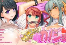 [日式ADV/后宫] 有保姆的女朋友 サポありカノジョ 机翻版 [1G/多空/百度]-捕鱼中文站