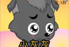 迷路的小灰灰是什么梗/ 迷路2年的小狼崽还没找到家-捕鱼中文站