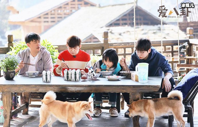 向往的生活5即将开始录制, 常驻嘉宾还是原班人马吗