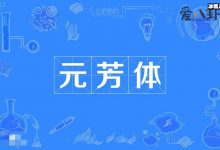 元芳你怎么看是什么意思? 起底此梗出处及背后故事-捕鱼中文站