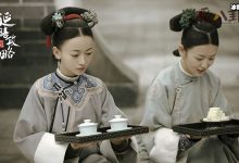 延禧攻略名字什么意思, 它是由哪部小说改编来-捕鱼中文站