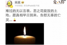 姚晨回怼恶评, 姚晨恶之花外号不是空穴来风?-捕鱼中文站