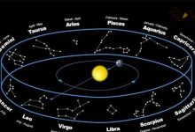 蛇夫座是什么星座 ,《我的皇帝陛下》洛菲菲蛇夫座星主-捕鱼中文站