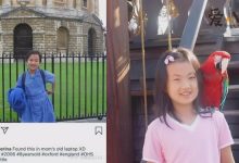 姚安娜真实家世, 妈妈是秘书上位姐姐孟晚舟比她大26岁-捕鱼中文站