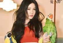 本兮男友小E是赵越前吗? 起底其个人资料他现任是谁-捕鱼中文站