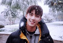 吴磊撕番是什么意思, 新海报被换新剧疑泡汤平台真要封杀了吗-捕鱼中文站
