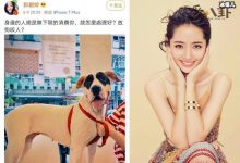 向太安慰郭碧婷什么情况, 向太安慰郭碧婷又说了什么引网友狂赞-捕鱼中文站