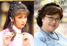 翁美玲去世和沈殿霞有关？彩虹夫妇真的是幕后主使人？-捕鱼中文站