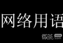 cd梗是什么意思详情-捕鱼中文站