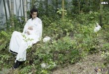 肖战今年有几部作品上映, 新作品还能复制陈情令的成功吗-捕鱼中文站