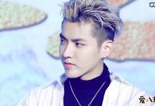 吴亦凡汪涵关系不和, 深扒竟是吴亦凡参加节目耍大牌惹怒汪涵-捕鱼中文站