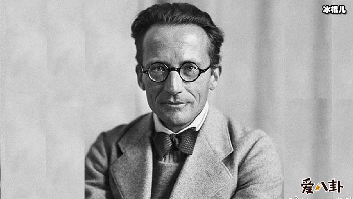 薛定谔梗没完了? 这个网络热词原来是这个意思!