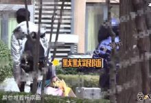 秦霄贤辛雨锡恋情疑曝光, 两人互动甜蜜疑姐弟恋成真-捕鱼中文站
