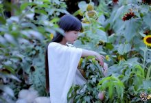 李子柒为何会火？如今也是自媒体时代最耀眼的存在！-捕鱼中文站