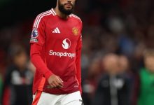 大发体育-最佳引援！马兹拉维成曼联关键先生，大发助力你的致富之路！-捕鱼中文站