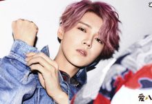 鹿晗演唱会上座率低, 鹿晗演出会说了一句话被粉丝怒喷-捕鱼中文站