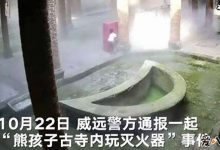 熊孩子损坏灭火器, 当玩具互喷网友斥家长要严加管教-捕鱼中文站