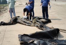 三峡有水怪？其图片被扒！-捕鱼中文站