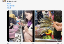 Himari：不要用那个姿势搞我！-捕鱼中文站