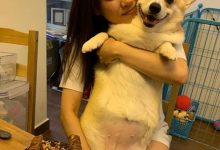 张致恒塔房是怎么回事?其未婚妻如何回应!-捕鱼中文站