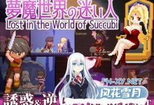 迷失在梦境中 #夢魔世界の迷い人 v1.03 官方中文版[2G/UC/夸克]-捕鱼中文站