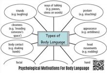 【EV扑克】《卡罗的马脚大全》精华内容总结,一篇文章读懂一本书!-捕鱼中文站