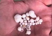 发现赚钱机密吃生蚝吐48颗!得知真相却被狠狠打脸!-捕鱼中文站