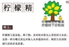 2019网络热词都有哪些?网友纷纷示这不就是我吗-捕鱼中文站