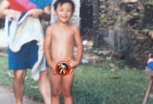 余文乐全裸照曝光为何遭网友笑称有点可爱! 隐私部位打马赛克逗笑网-捕鱼中文站