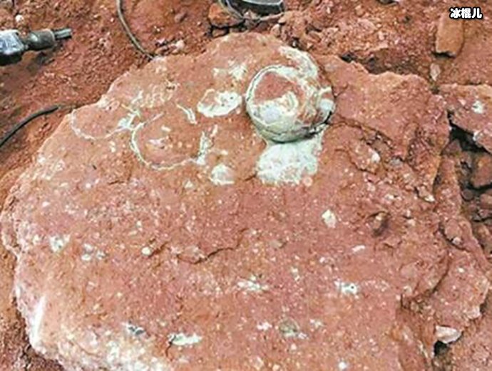 小学生游玩时发现六千万年前恐龙蛋!网友纷纷感慨!